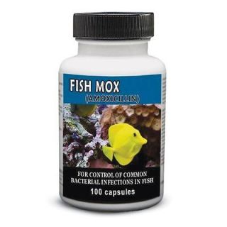 250mg Fish Mox Amoxicillin antibiotic aquarium aeromonas pseudomonas 