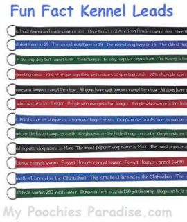 FUN FACT KENNEL LEADS for DOGS   Bulk Packs for Less