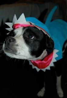 Dog Costume Blue Shark Size Small EUC