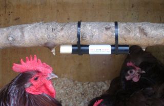 RED MITE ALERT Detector for hen houses, chicken coops