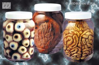 Halloween Laboratory Lab Jars Mad Man Scientist Heart Brain Eyes Alien 