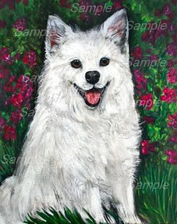   DOG GICLEE of Painting American Eskimo ESKIE Pup Kristine Kasheta ART