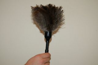 ostrich feather duster in Cleaning Supplies