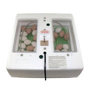 Circulated Air Incubator With Fan ( for better Hatch Rate) & Liner