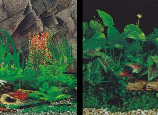 Aquarium Fish Tank Background by the foot ~ 19 Height ~ Aquatic Plant 