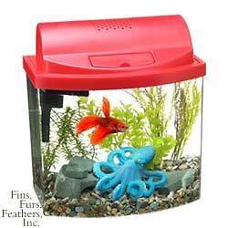 aqueon aquarium kit