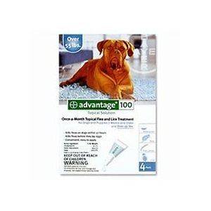 Bayer Advantage 100 Topical Flea Solution for Dogs 55 lb & Up   12 