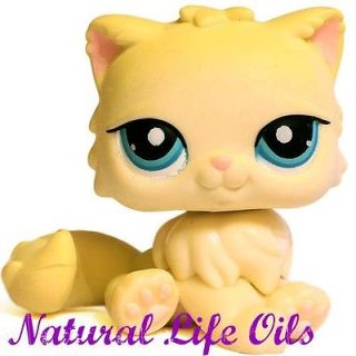 Littlest Pet Shop~#428 CREAM ADVENT PERSIAN KITTY CAT Blue Eyes~D80 