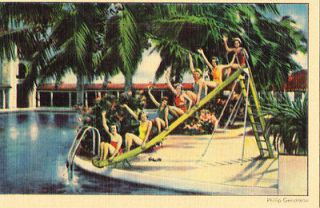 Postcard On The Pool Deck At The Miami Biltmore Hotel, Miami Beach, FL 