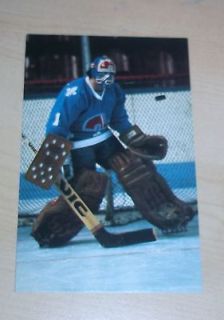 NHL Quebec Nordiques John Garrett Goalie Post Card
