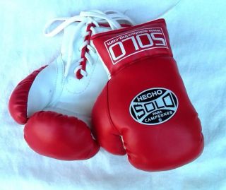grant boxing gloves in Boxing Gloves