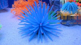 Aquarium Fish Tank Silicone Sea Anemone Ornament RT172