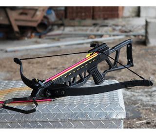 crossbow 180 lb in Crossbows