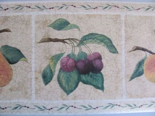 CRACKLE FRUIT Tuscan Style Country Theme Kitchen Prepasted WALLPAPER 