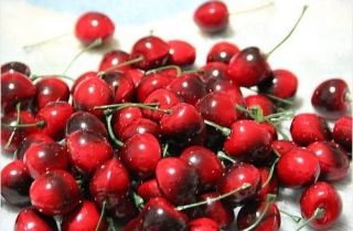 100pcs Mini Cherry Decorative Plastic Artificial Fruits