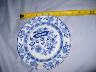   Vintage Collectible Villeroy and Boch Dresden Plate Made In Germany