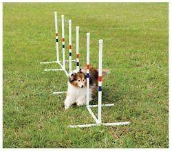 PetSafe Dog Agility Training Equipment   Weave Poles