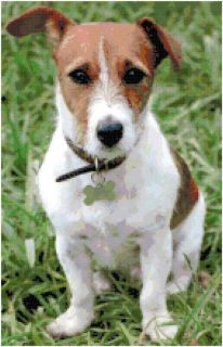 Jack Russell Terrier Counted Cross Stitch Pattern Design Chart Dog