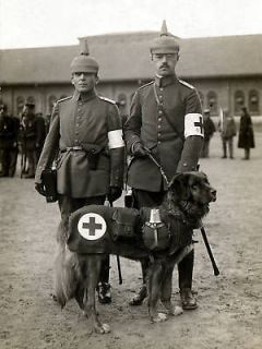 Leonberger Red Cross War Rescue Dog Military Men Print