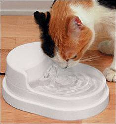 CAT FOUNTAIN circulates water OR 6 Pc REPLACEMENT FILTERS ~NEW~ *FREE 