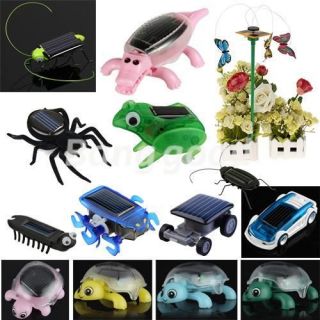 Solar Power Educational Car Cockroach Spider Frog Toy Butterflies 