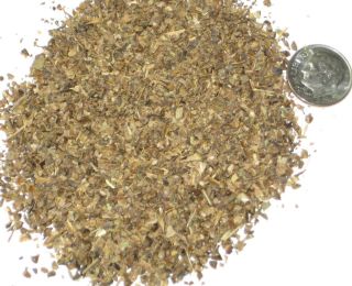 10 10,000 Crape Crepe Myrtle Bonsai Tree Seed Pack Lagerstroemia 