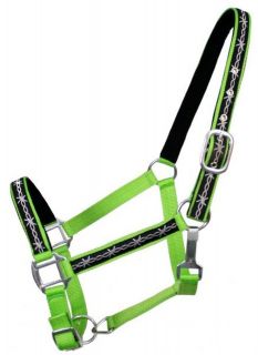 lime green horse halter in Tack Halters & Leads