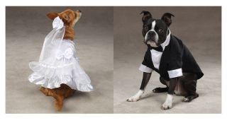 Bride and Groom Costumes for Dogs   Halloween Dog Costume   FREE 