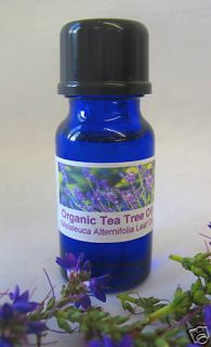 TEA TREE Essential Oil~100% Pure Organic~Acne/Spots/Milia/KP/Lice 