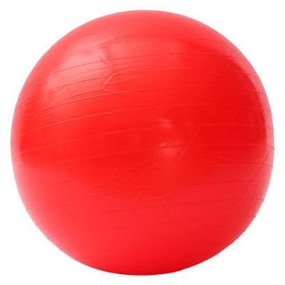 stability ball in Exercise Balls