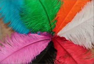 OSTRICH PLUME 20 22 Inch Full Feather Different colors are 