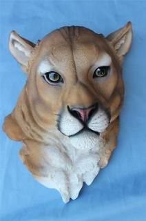 New Mountain Lion Cougar Jungle Cat Head Bust Wall Mount Taxidermy 
