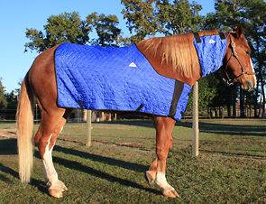 EVAPORATIVE COOLING HORSE BLANKET, sizes Small XLarge