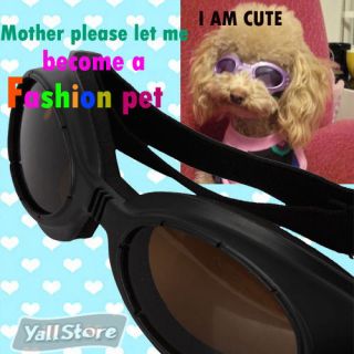Pet Dog UV Goggles Sun Glasses Dog Fashion Grooming Glasses Black