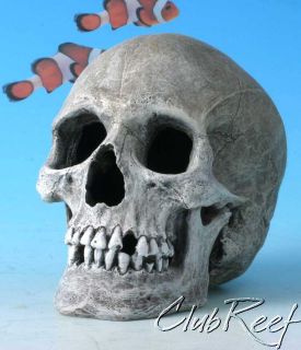 Skull Human like Resin Aquarium Decoration/Orn​ament