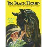 Big Black Horse book   storyboard for The Black Stallion 1979   100% 