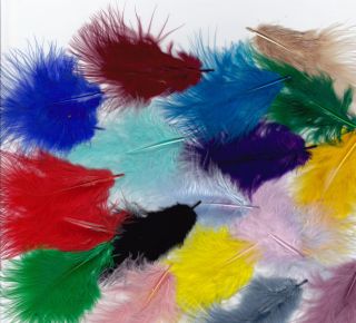   Feathers in any 3 colours from a Large selection Fly Tying, Fishing