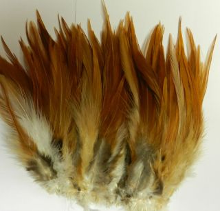   . Strung Natural Reddish Brown Saddle Hackle Feathers (5 to 7 inches
