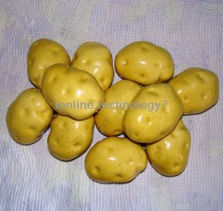   Potato Foam Vegetables Ornament ,artificial fruit Kitchen house decor
