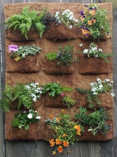 vertical garden in Planters, Pots & Window Boxes