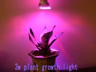 3W E27 GU10 MR16 red blue Hydroponics plant grow flowering 3X1W light 