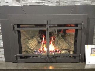 gas fireplace inserts in Fireplaces
