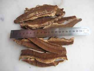 Ganoderma tablets Wild Dried Lingzhi Reishi Mushrooms Lucidum Herbs 