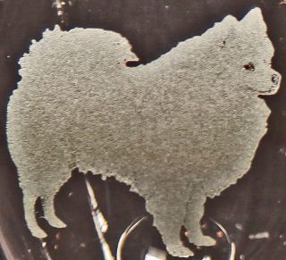 American Eskimo Dog Etched Glasses  CHOOSE your glass style