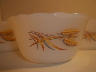 golden wheat dishes in Homer Laughlin