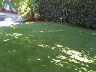 Artificial Turf Grass Blow out sale Please inquire. (6 samples in a 