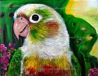   CONURE GICLEE of Painting PARROT Bird Plant Flower Sun Kasheta Pet ART