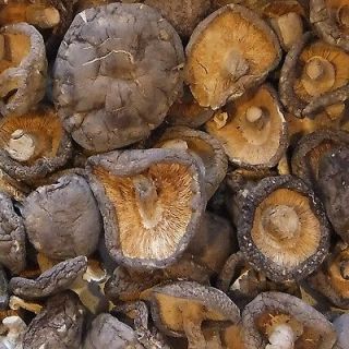 oz ounces 1/2 lb pound Whole Shitake Dried Mushrooms grown in the 