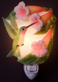 Hummingbird and Trumpet Vine Flowers Night Light