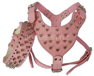 spiked dog harness in Harnesses